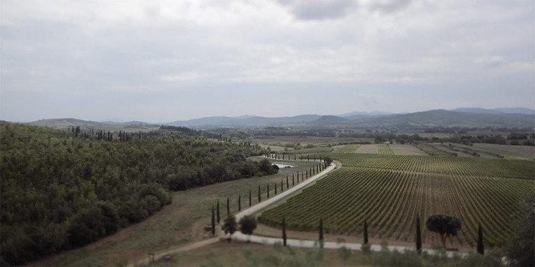 Wedding video in Conti di San Bonifacio